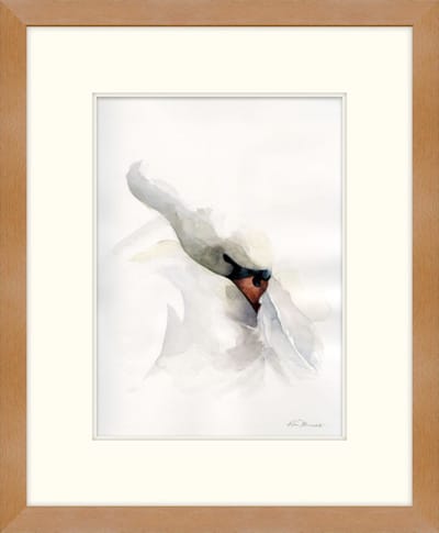 SWAN